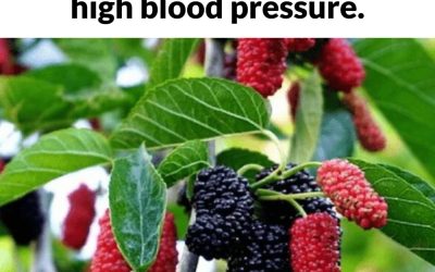 This plant is everywhere, but you had no idea it can treat tumors, diabetes, and high blood pressure