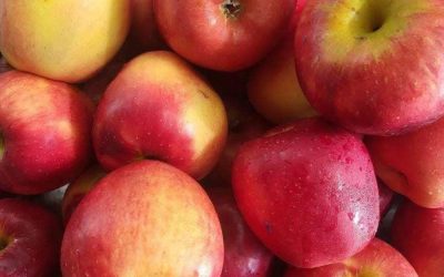 Eating One Apple Every Evening May Bring Surprising Health Benefits