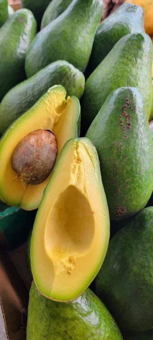 Doctors reveal that avocado consumption causes