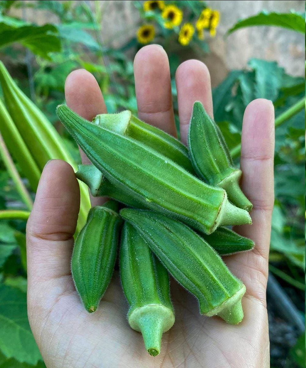 Why Okra May Support Health, According to Experts