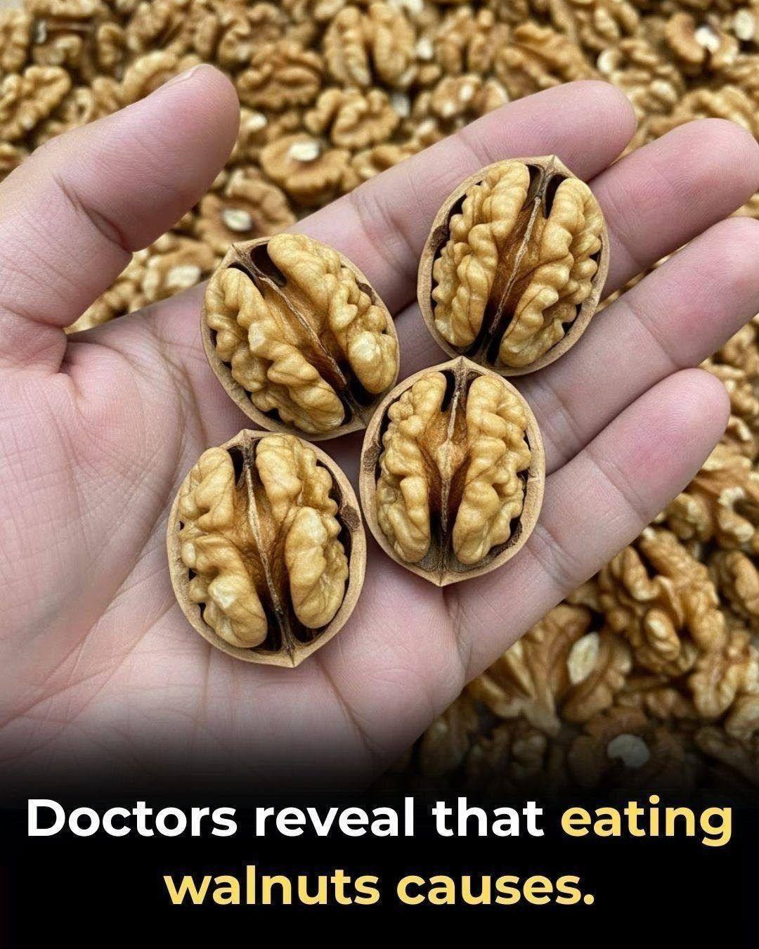 Doctors Reveal That Eating Walnuts Causes Remarkable Changes in the Brain and Body