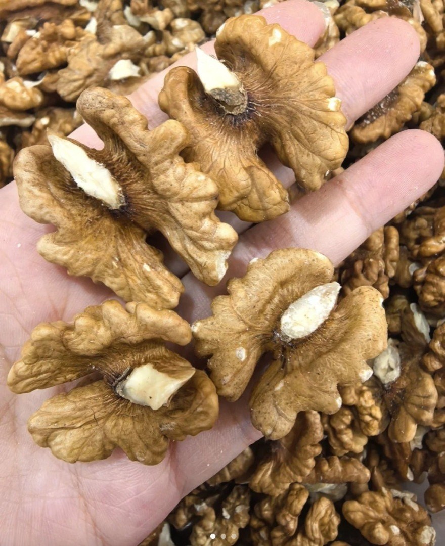 Doctors Reveal That Eating Walnuts Causes… Amazing Things for Your Heart, Brain & Long-Term Health!