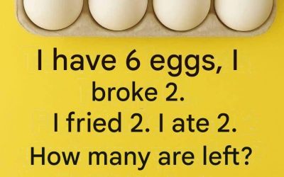 The 6-egg riddle that confuses 99% of people!