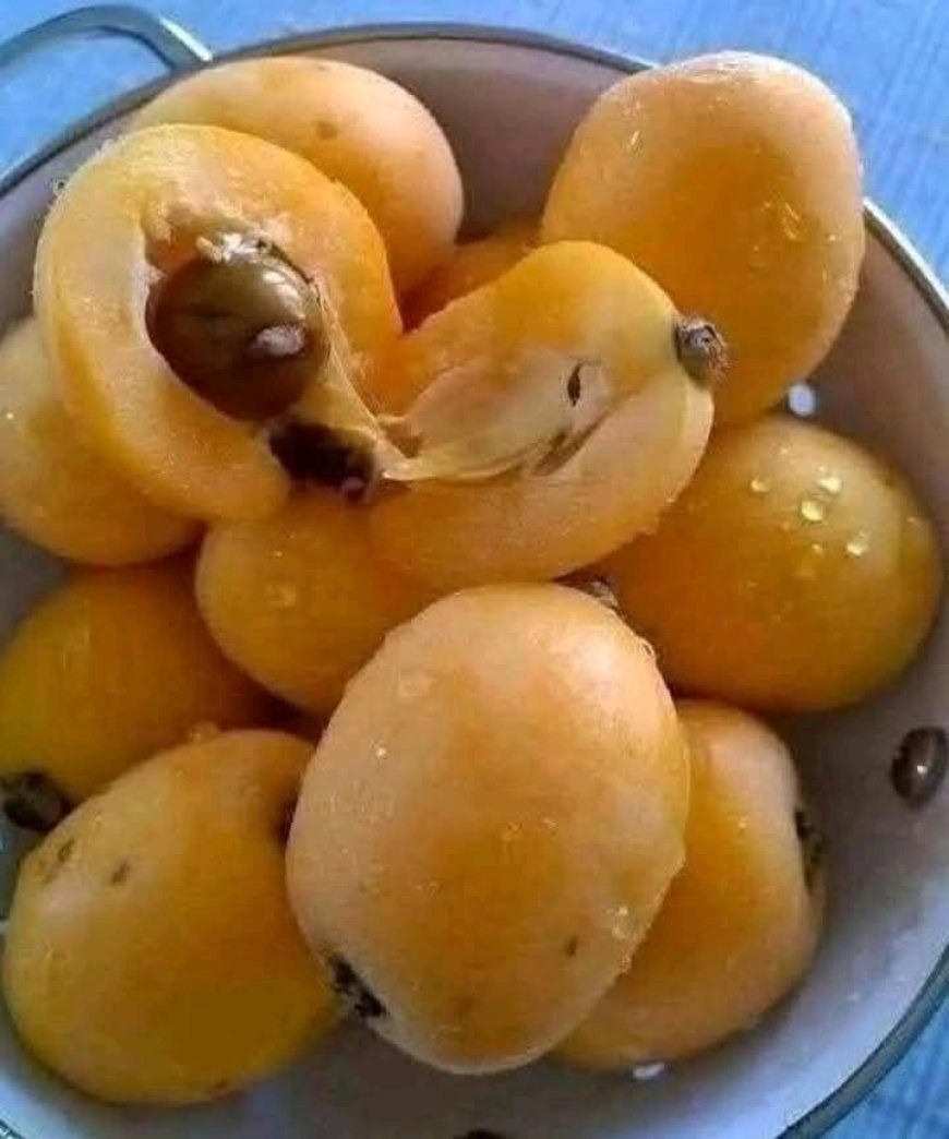 All my life I have tried to remember the name of this fruit.