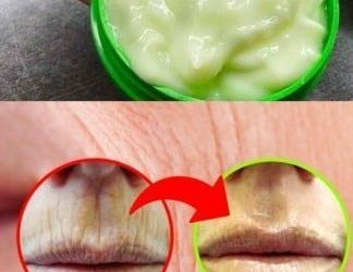 How to Eliminate Wrinkles Naturally with Cucumber: A Simple, Science-Backed Anti-Aging Secret from Your Kitchen