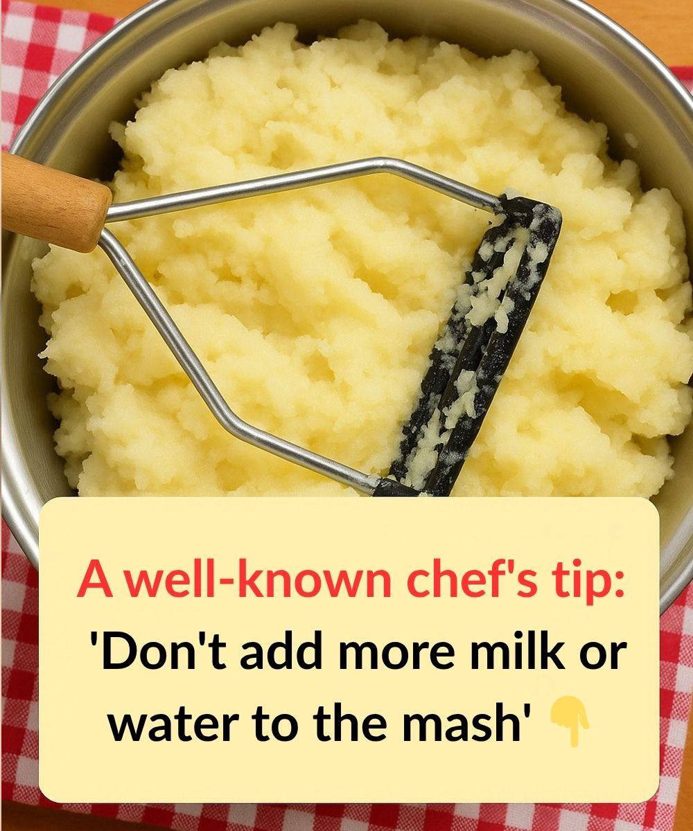 The Best-Kept Secret to Creamy, Gourmet Mashed Potatoes (It’s NOT milk!)The Best-Kept Secret to Creamy, Gourmet Mashed Potatoes (It’s NOT milk!)
