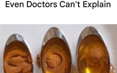Cinnamon and Honey: A Powerful Natural Remedy