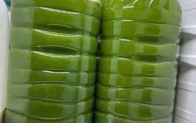 The green gold of herbal medicine: why rosemary juice?