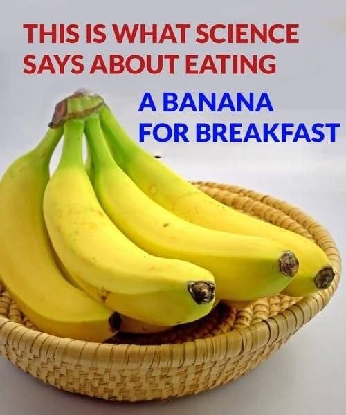 https://recipes-usa.ouskino.com/this-is-what-science-says-about-eating-a-banana-for-breakfast/?fbclid=IwY2xjawR-qpxleHRuA2FlbQIxMABzcnRjBmFwcF9pZBAyMjIwMzkxNzg4MjAwODkyAAEewJhqWyE0rD4al7iw2N4o1F6b0iFDww1kMFeweauIQcgG6LansVGLmqJxhyc_aem__Ek4L99kPkA5zv6uRmimug#:~:text=THIS%20IS%20WHAT%20SCIENCE%20SAYS%20ABOUT%20EATING%20A%20BANANA%20FOR%20BREAKFAST