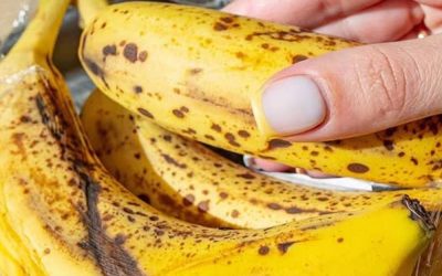 Health Which Banana Is Healthier: Spotty Brown Bananas, Yellow Bananas or Green Bananas