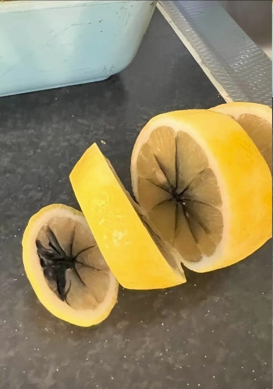 While cutting a lemon, I discovered something strange inside… and I was amazed when I realized what it was.