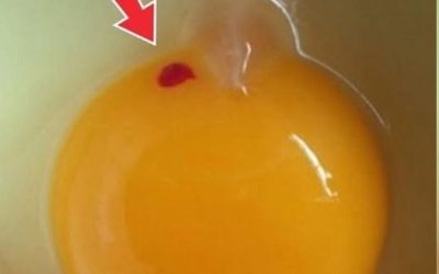 Is It Safe to Eat Eggs With Red Spots? A Clear Guide for Everyday Cooks