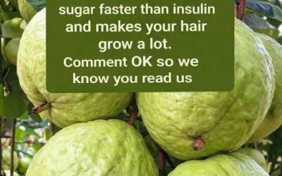Guava Health Claims: Fact vs Reality