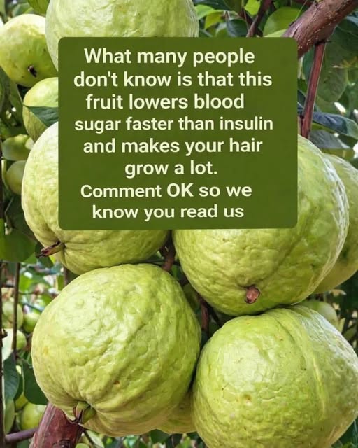 Guava Health Claims: Fact vs Reality