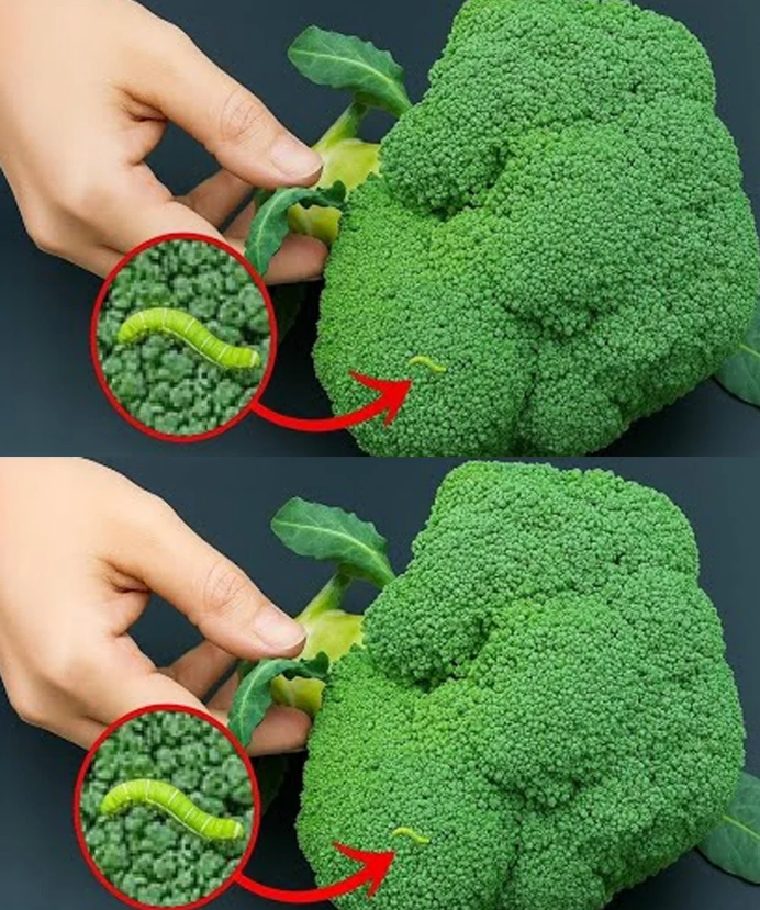 Washing broccoli with just water is wrong: This is the correct way.
