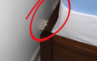 I came home exhausted with hopes of a peaceful night, but one detail told me something was wrong.