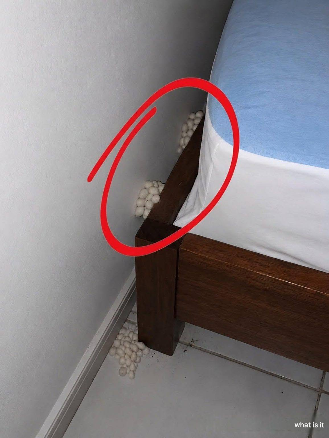 I came home exhausted with hopes of a peaceful night, but one detail told me something was wrong.