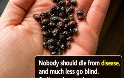 Hidden Seed Compounds and Cancer Claims: What Science Really Says