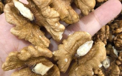 Doctors Reveal That Eating Walnuts Causes… Amazing Things for Your Heart, Brain & Long-Term Health!