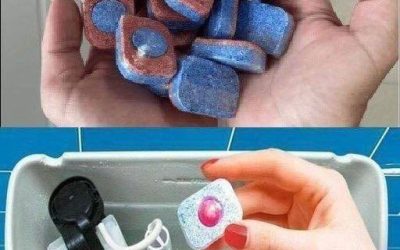 My mother-in-law buys these tablets even though she doesn’t have a dishwasher: Thanks to her tip, I also bought 1 pack for the whole year!”