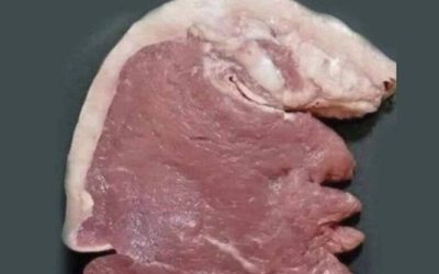 What Do You See First? This Optical Illusion Reveals More Than You Think