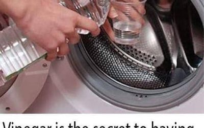 Yes, vinegar helps clean the washing machine thoroughly: here’s how to use it