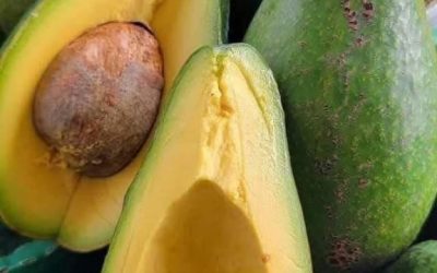 The Avocado benefits