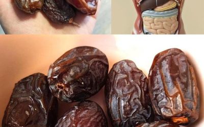 The Incredible Benefits of Dates: A Nutrient-Packed Superfood