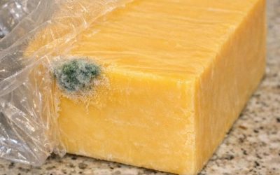 I just got home from the store and opened this expensive block of cheddar to make dinner. There is a small spot of green fuzz on the corner, but the rest of the block looks completely fine. Do I just