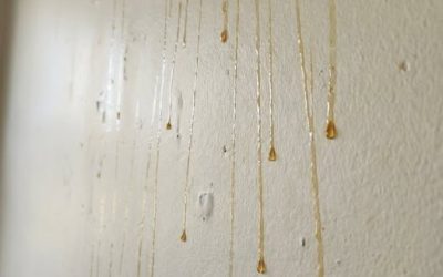 Yellow Stuff Starts Dripping Down Your Bathroom Walls? Here’s What It Might Be