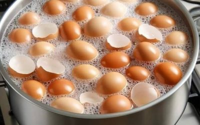 Eating Boiled and Ground Eggshells: Why It’s Not a Safe Calcium Source