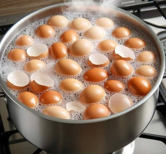 Eating Boiled and Ground Eggshells: Why It’s Not a Safe Calcium Source