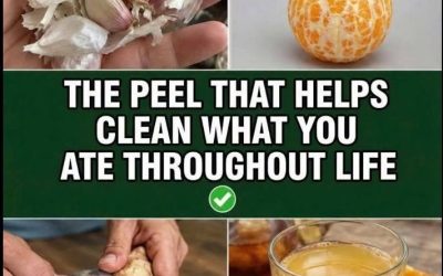 Citrus and Garlic Peel Health Benefits: The Truth Behind Natural Remedies