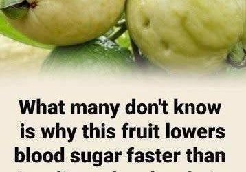 The Surprising Health Benefits of Guava: A Nutrient-Packed Fruit Worth Adding to Your Diet