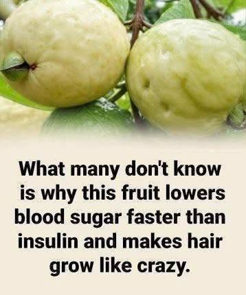 The Surprising Health Benefits of Guava: A Nutrient-Packed Fruit Worth Adding to Your Diet
