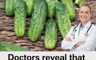 What Really Happens When You Eat Cucumber in Salads Every Day, According to Doctors